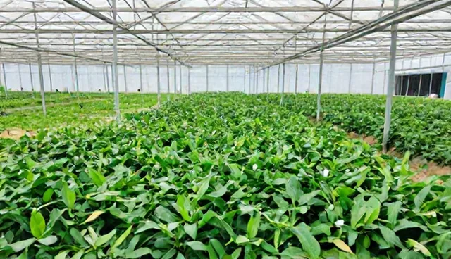 农产品基地合作的5大检查要点与选型关注点